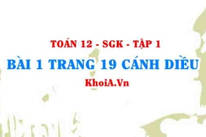 Bài 1 trang 19 Toán 12 tập 1 Cánh Diều
